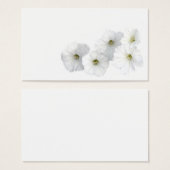 White Petunias (Front & Back)