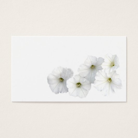 White Petunias (Front)