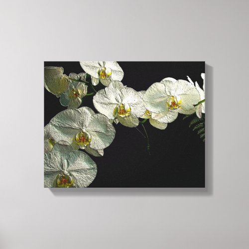 White Phalaenopsis Orchid  Fern _ Digital Art Canvas Print