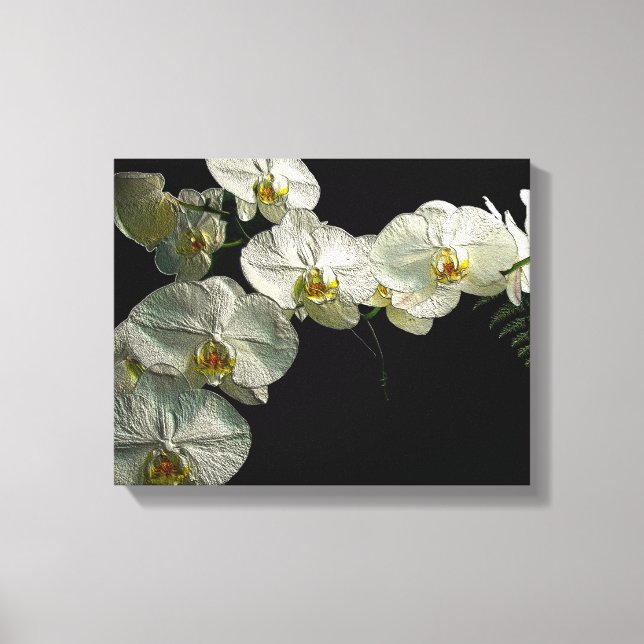 White Phalaenopsis Orchid & Fern - Digital Art Canvas Print (Front)