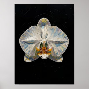 White Phalaenopsis Orchid Fine Art Print, Dark Poster