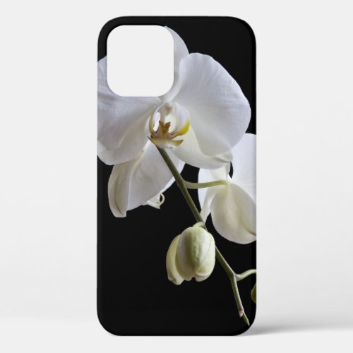 White Phalaenopsis Orchid on Black iPhone 12 Case