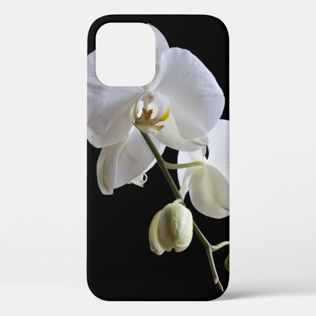 White Phalaenopsis Orchid on Black Case-Mate iPhone Case (Back)