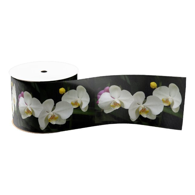 White Phalaenopsis Orchid Ribbon (Spool)