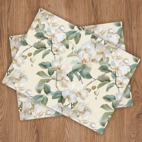 White Phalaenopsis Orchid Tissue Paper