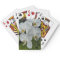 White Phalaenopsis Orchids Floral