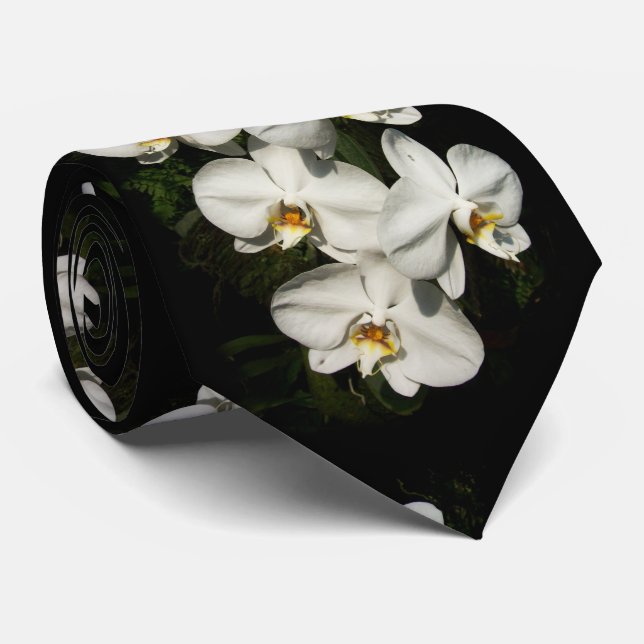 White phalaenopsis orchids tie (Rolled)