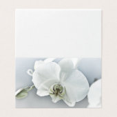 White Phaleonopsis Orchid (Outside Unfolded)