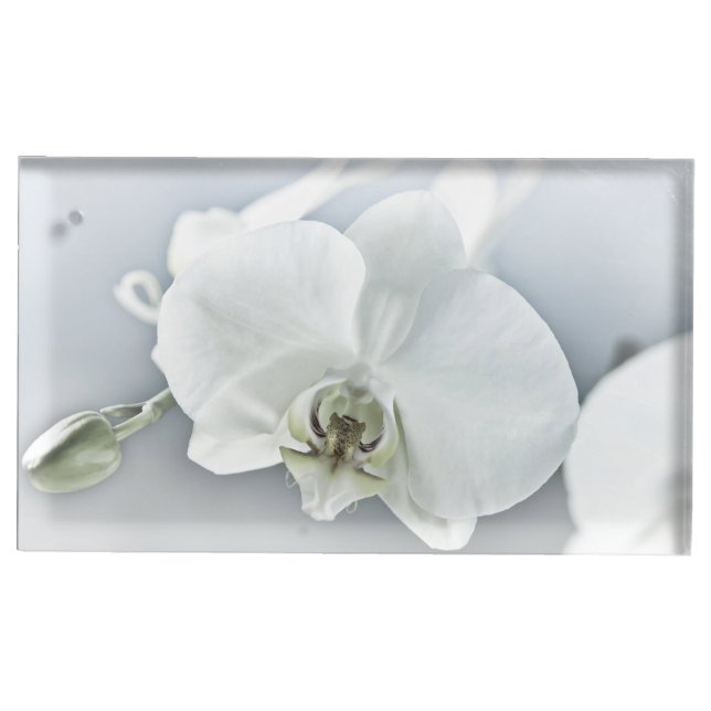 White Phaleonopsis Orchid Place Card Holder (Front)