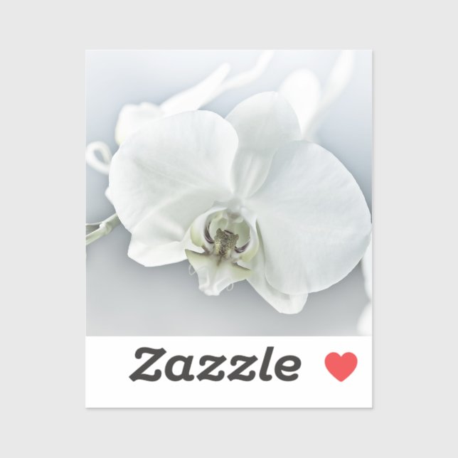 White Phaleonopsis Orchid Sticker (Sheet)