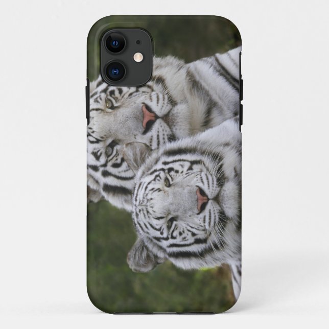 White phase, Bengal Tiger, Tigris Case-Mate iPhone Case (Back)