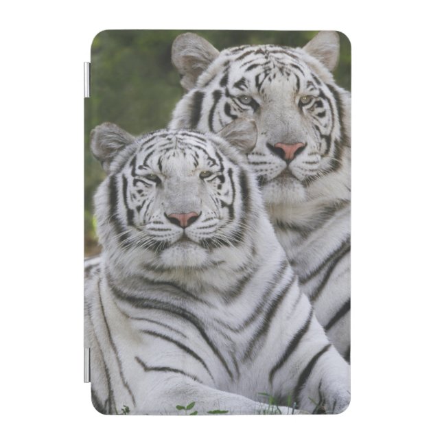 White phase, Bengal Tiger, Tigris iPad Mini Cover (Front)