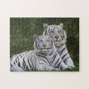 White phase, Bengal Tiger, Tigris Jigsaw Puzzle