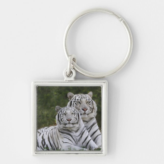 White phase, Bengal Tiger, Tigris Keychain (Front)