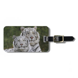 White phase, Bengal Tiger, Tigris Luggage Tag