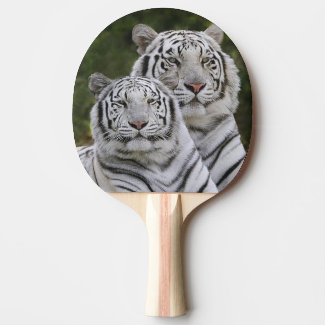 White phase, Bengal Tiger, Tigris Ping-Pong Paddle (Front)