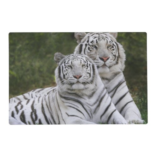 White phase Bengal Tiger Tigris Placemat