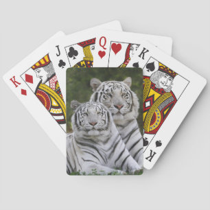 White phase, Bengal Tiger, Tigris Poker Cards