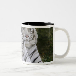 White phase, Bengal Tiger, Tigris Two-Tone Coffee Mug