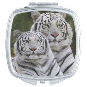 White phase, Bengal Tiger, Tigris Vanity Mirror