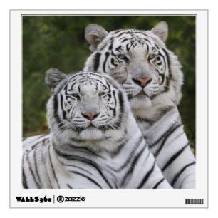 White phase, Bengal Tiger, Tigris Wall Decal