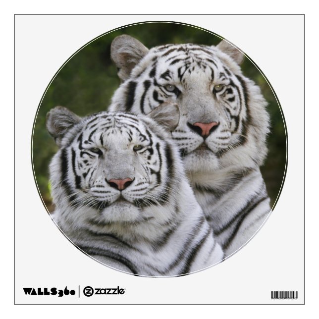 White phase, Bengal Tiger, Tigris Wall Sticker (Front)
