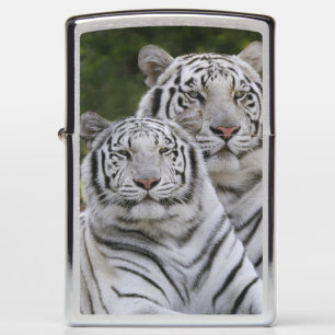 White phase, Bengal Tiger, Tigris Zippo Lighter