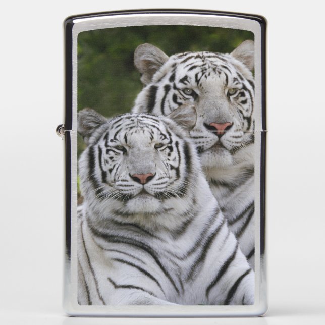 White phase, Bengal Tiger, Tigris Zippo Lighter (Front)