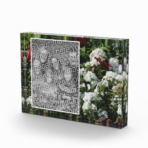 White Phlox Flower Garden Add Your Own  Photo Block
