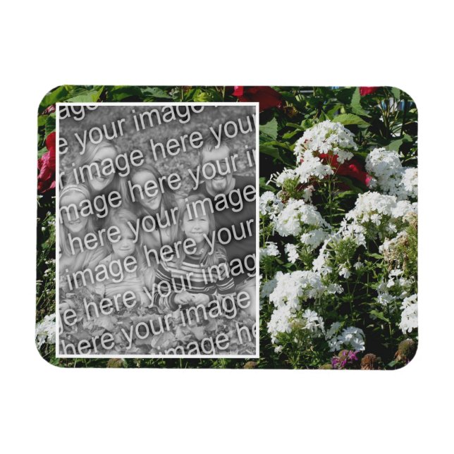 White Phlox Flower Garden Add Your Photo Magnet (Horizontal)