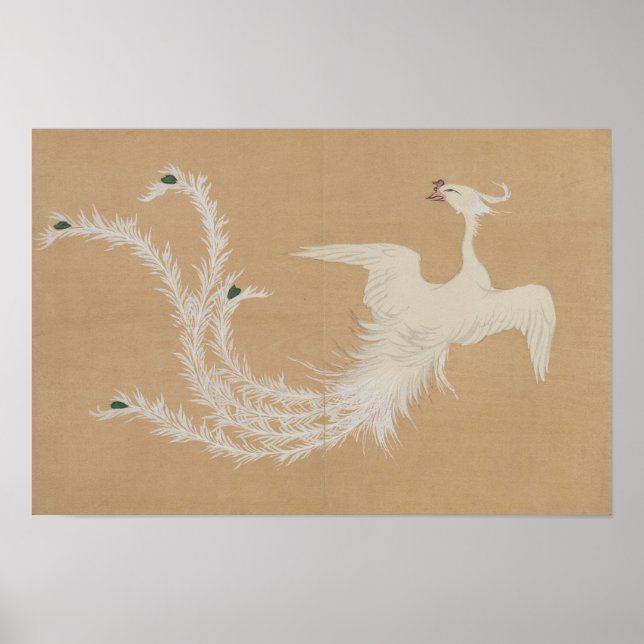 White Phoenix  Poster (Front)
