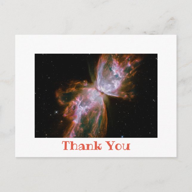 White Photo Border Thank You Postcard (Front)