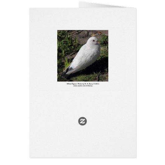 White Pigeon 02 (Back)