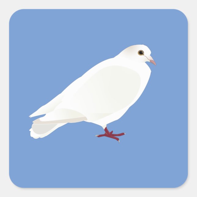 White Pigeon (Dove) Square Sticker (Front)