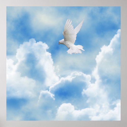 White pigeon in the sky poster