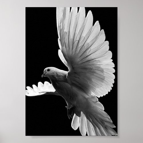 White Pigeon Poster