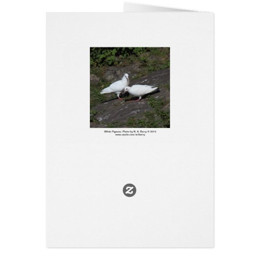 White Pigeons (Back)