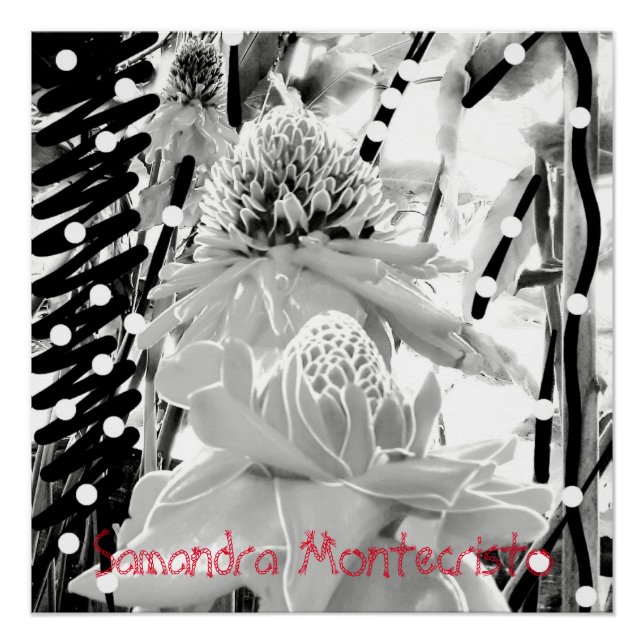 White Pineapples & Strawberry Glossy Poster (Front)