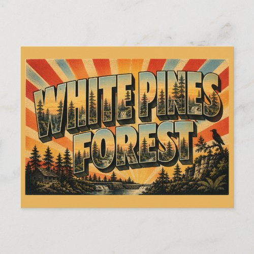 White Pines Forest State Park Illinois Pine Creek Postcard