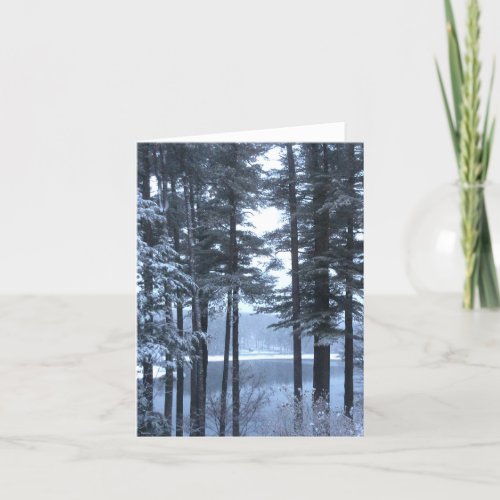 White Pines in Blue Light ___ Holiday Card