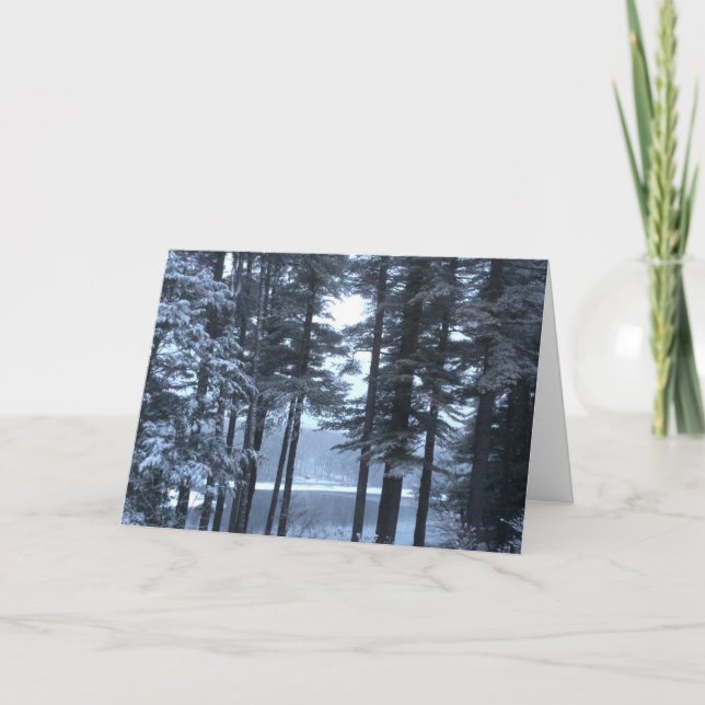 White Pines in Blue Light --- Holiday Card (Front)
