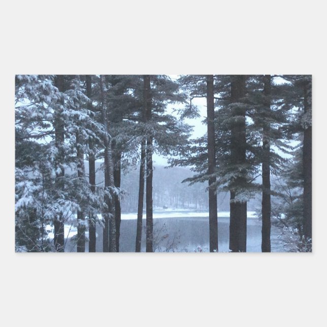 White Pines in Blue Light --- Rectangular Sticker (Front)