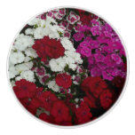 White, Pink and Red Dianthus Floral Ceramic Knob