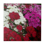 White, Pink and Red Dianthus Floral Ceramic Tile
