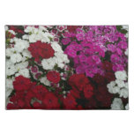 White, Pink and Red Dianthus Floral Cloth Placemat