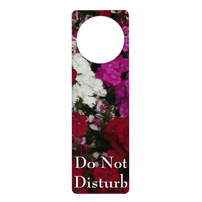 White, Pink and Red Dianthus Floral Door Hanger (Front)