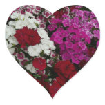 White, Pink and Red Dianthus Floral Heart Sticker