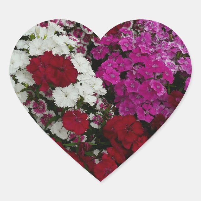 White, Pink and Red Dianthus Floral Heart Sticker (Front)