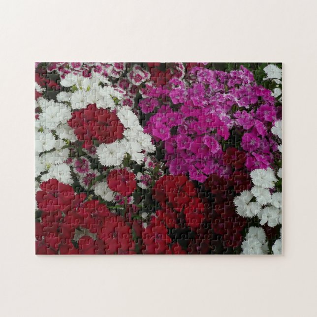 White, Pink and Red Dianthus Floral Jigsaw Puzzle (Horizontal)