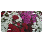 White, Pink and Red Dianthus Floral License Plate